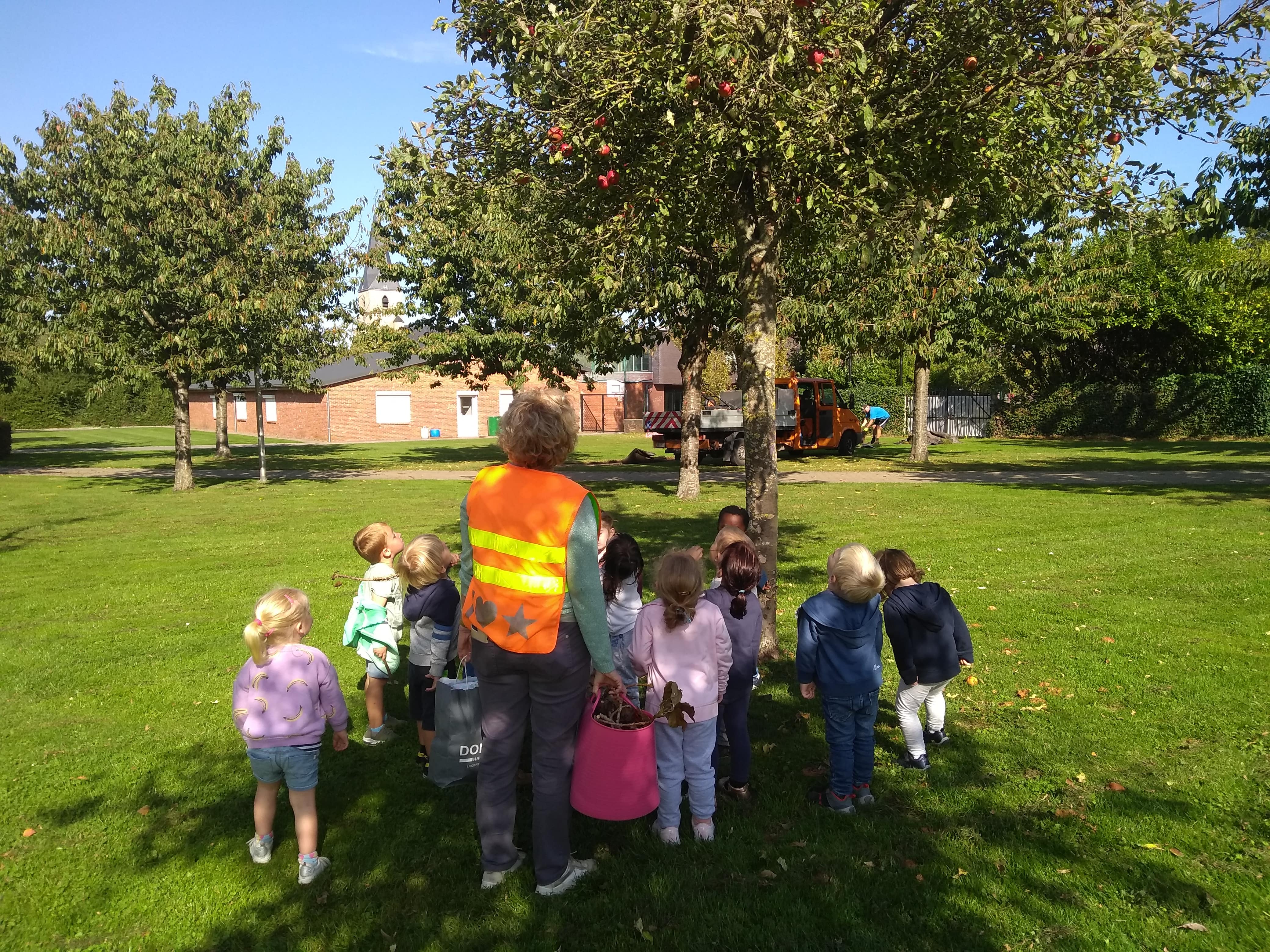 Herfstwandeling kleuters