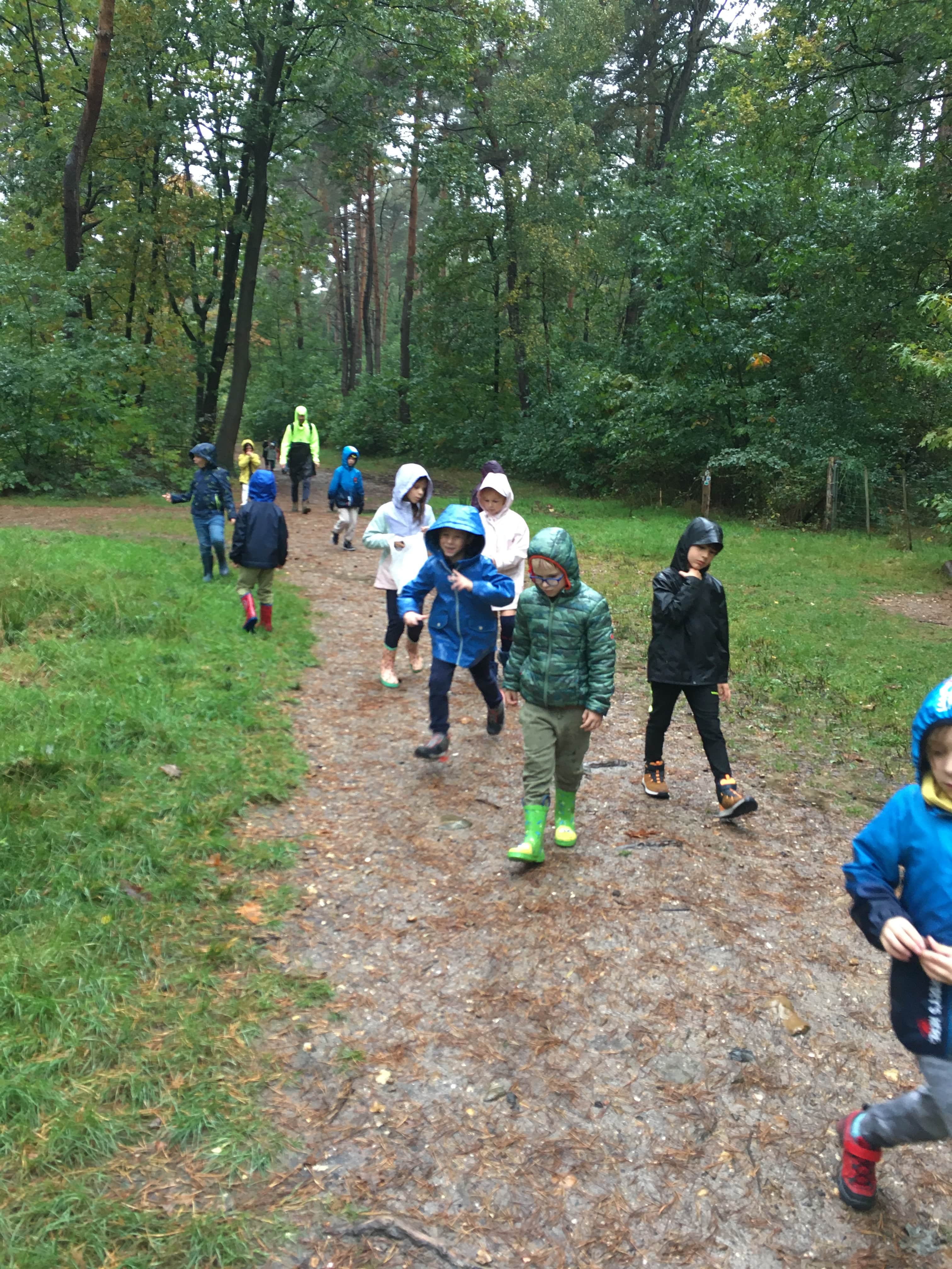 Herfstwandeling lager