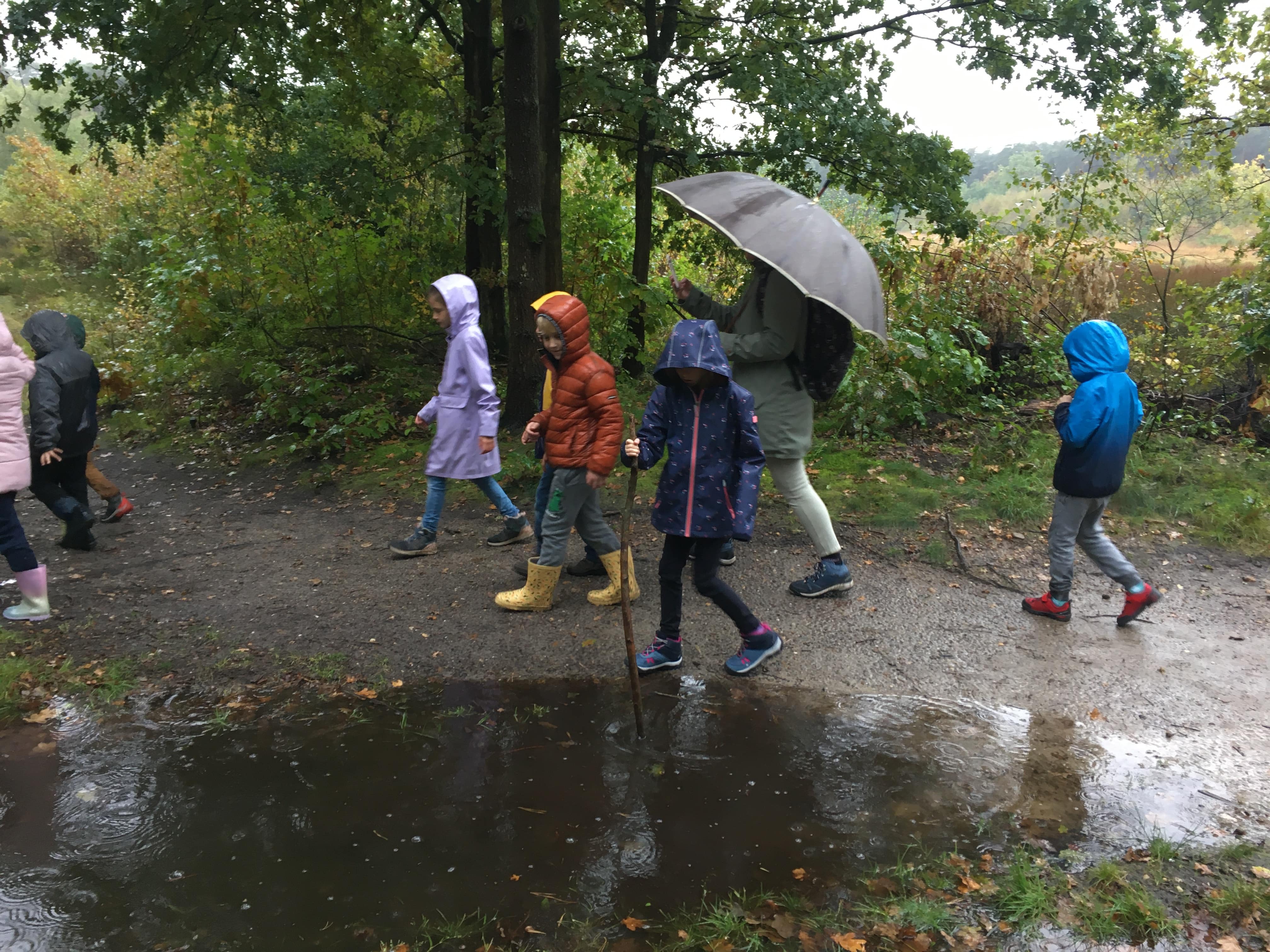 Herfstwandeling lager