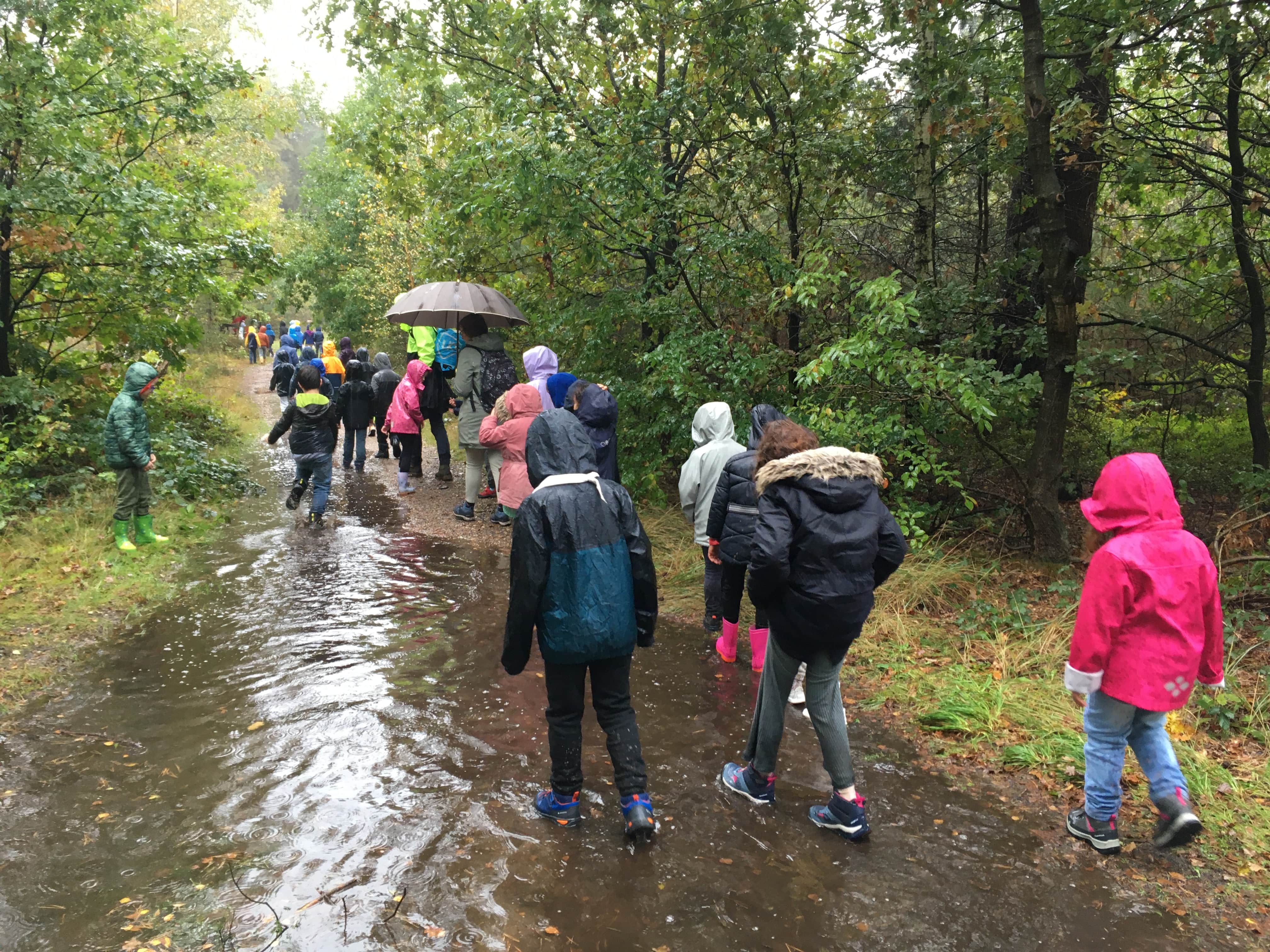 Herfstwandeling lager