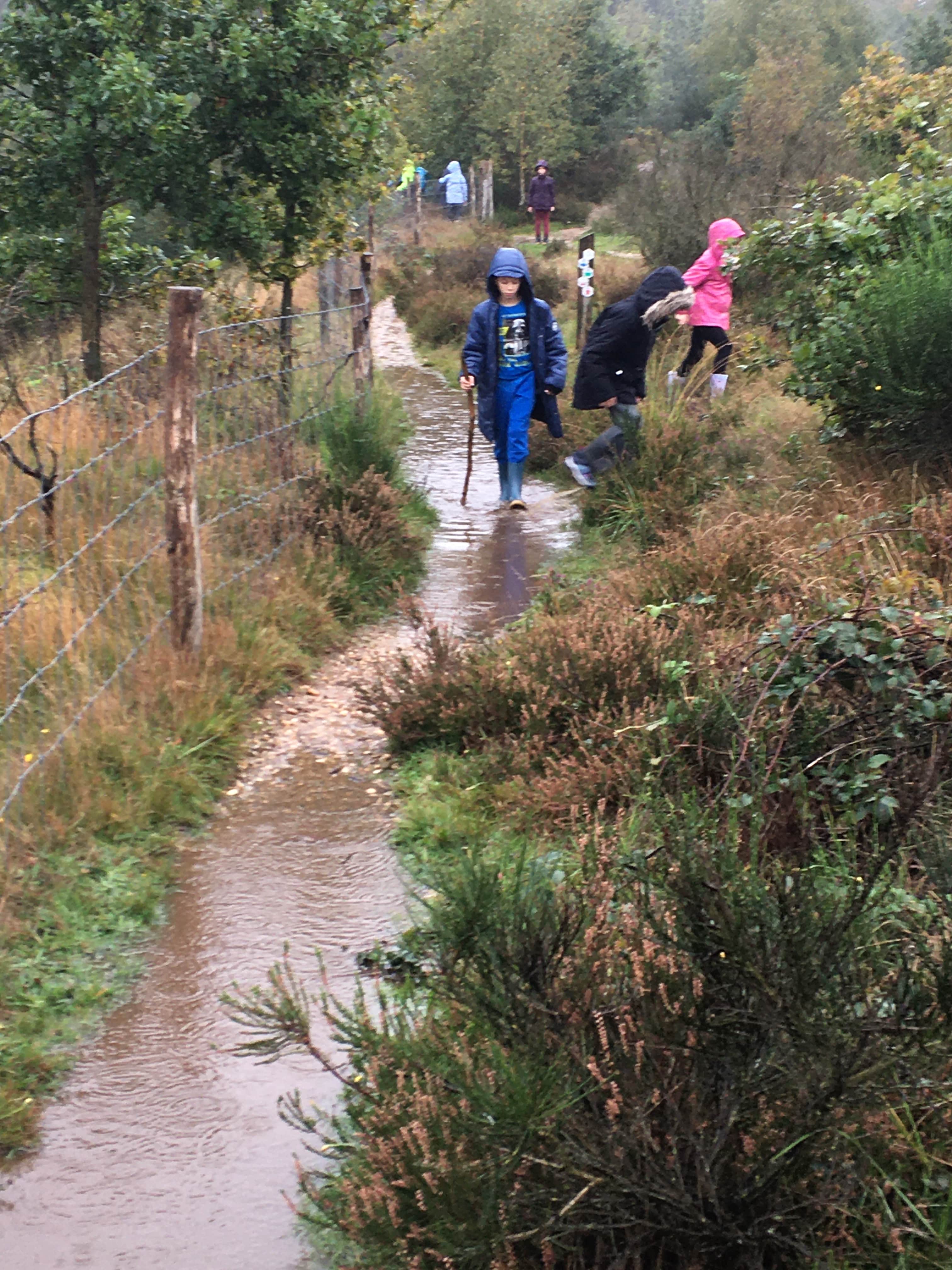 Herfstwandeling lager