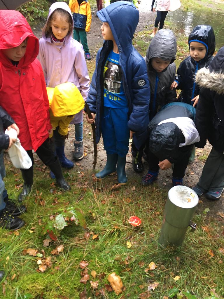 Herfstwandeling lager