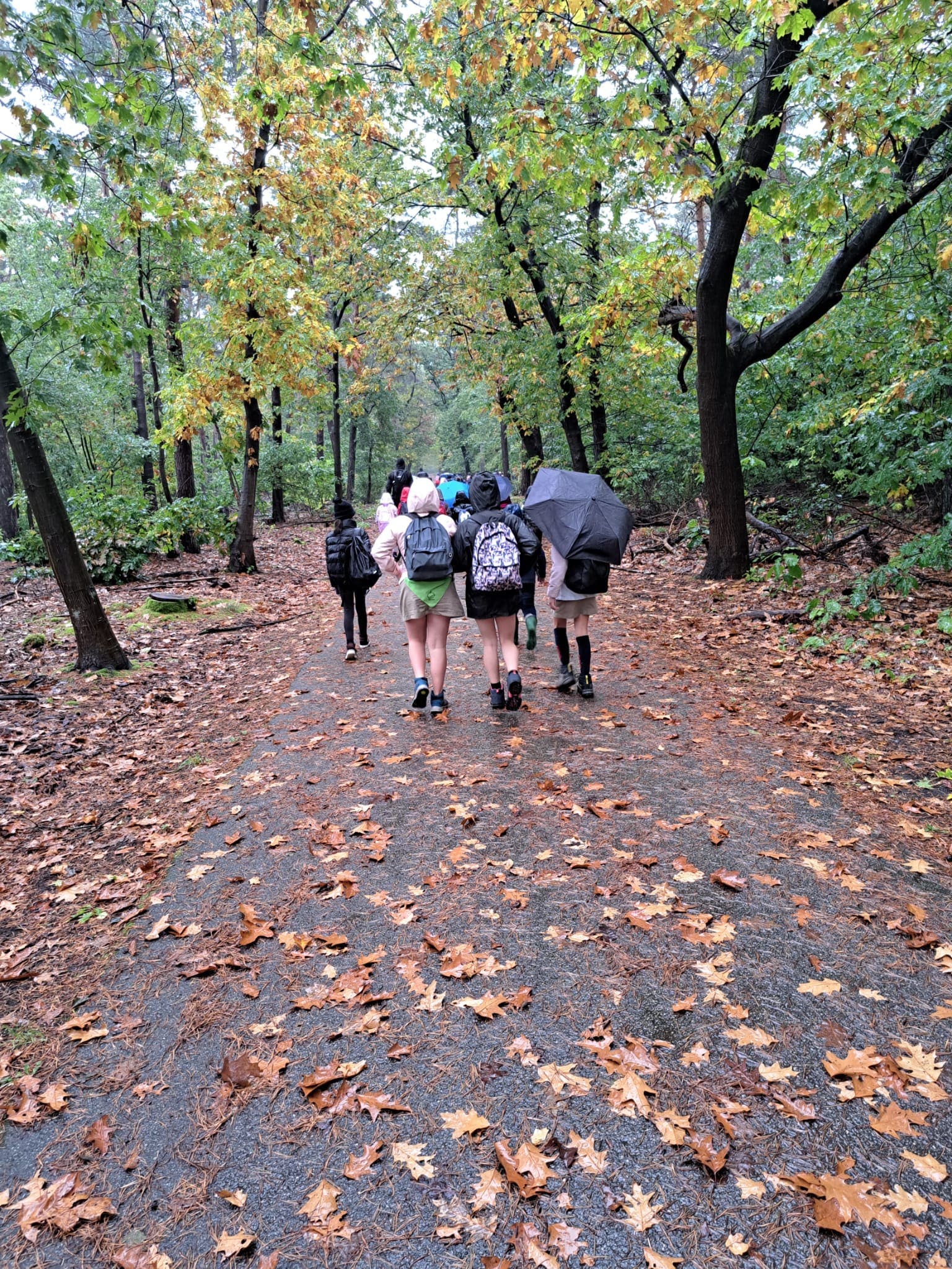 Herfstwandeling lager