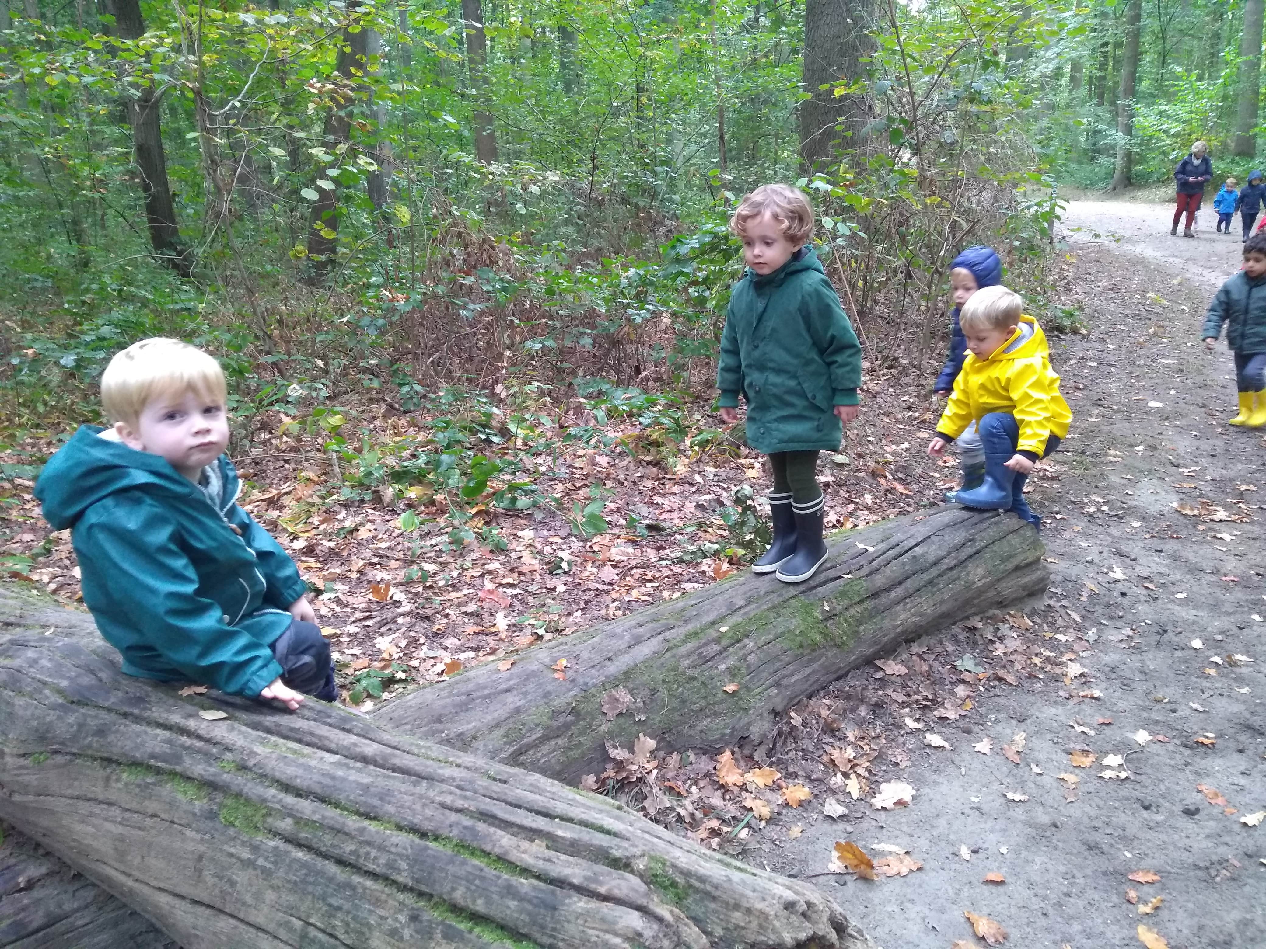 Herfstwandeling kleuters