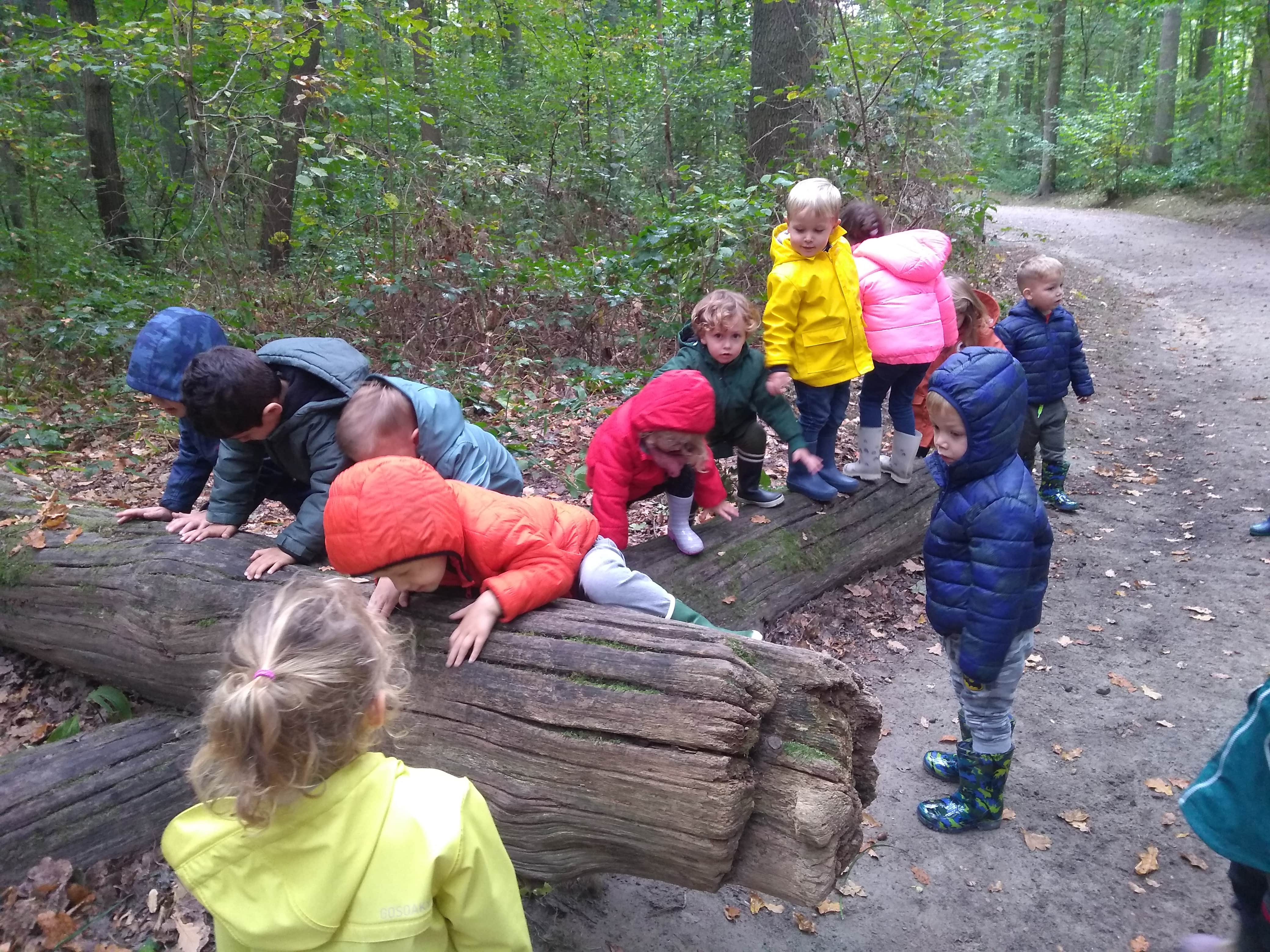 Herfstwandeling kleuters