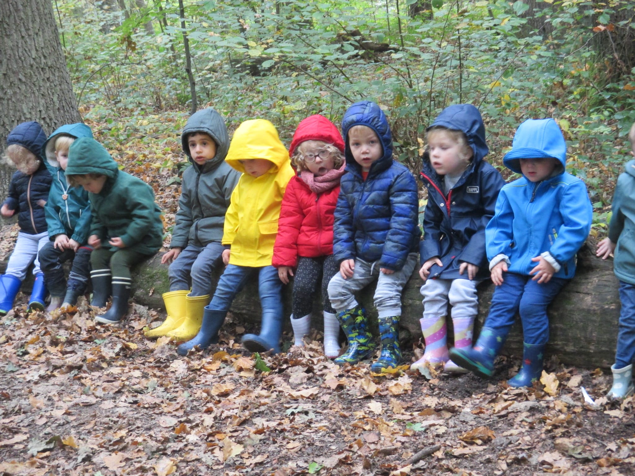 Herfstwandeling kleuters