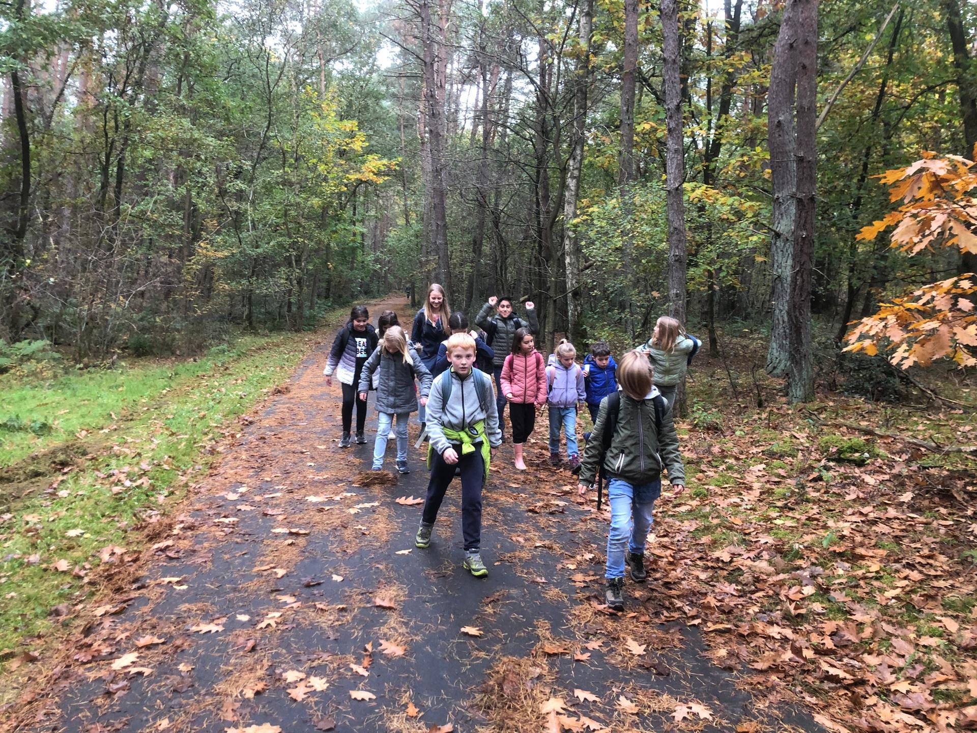 Herfstwandeling lager