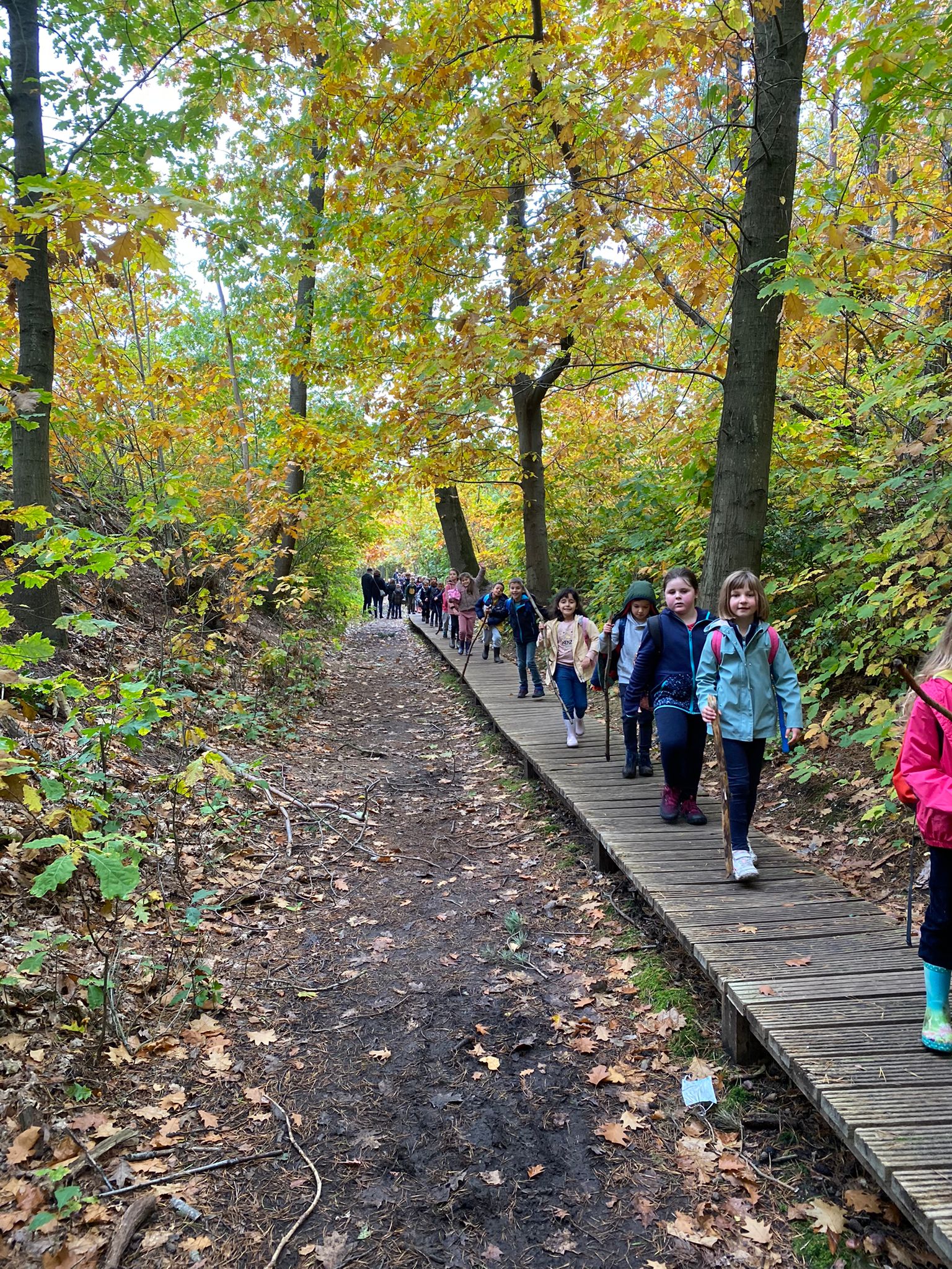 Herfstwandeling lager