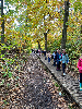 Herfstwandeling lager