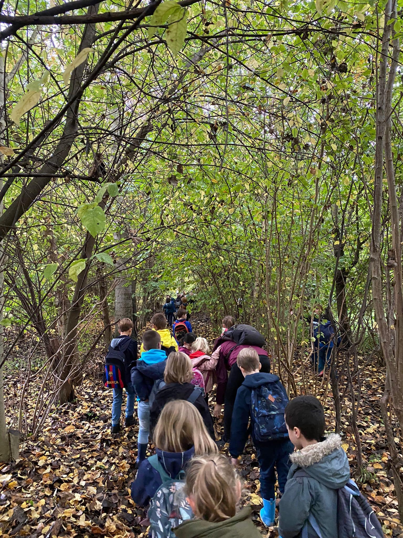 Herfstwandeling lager