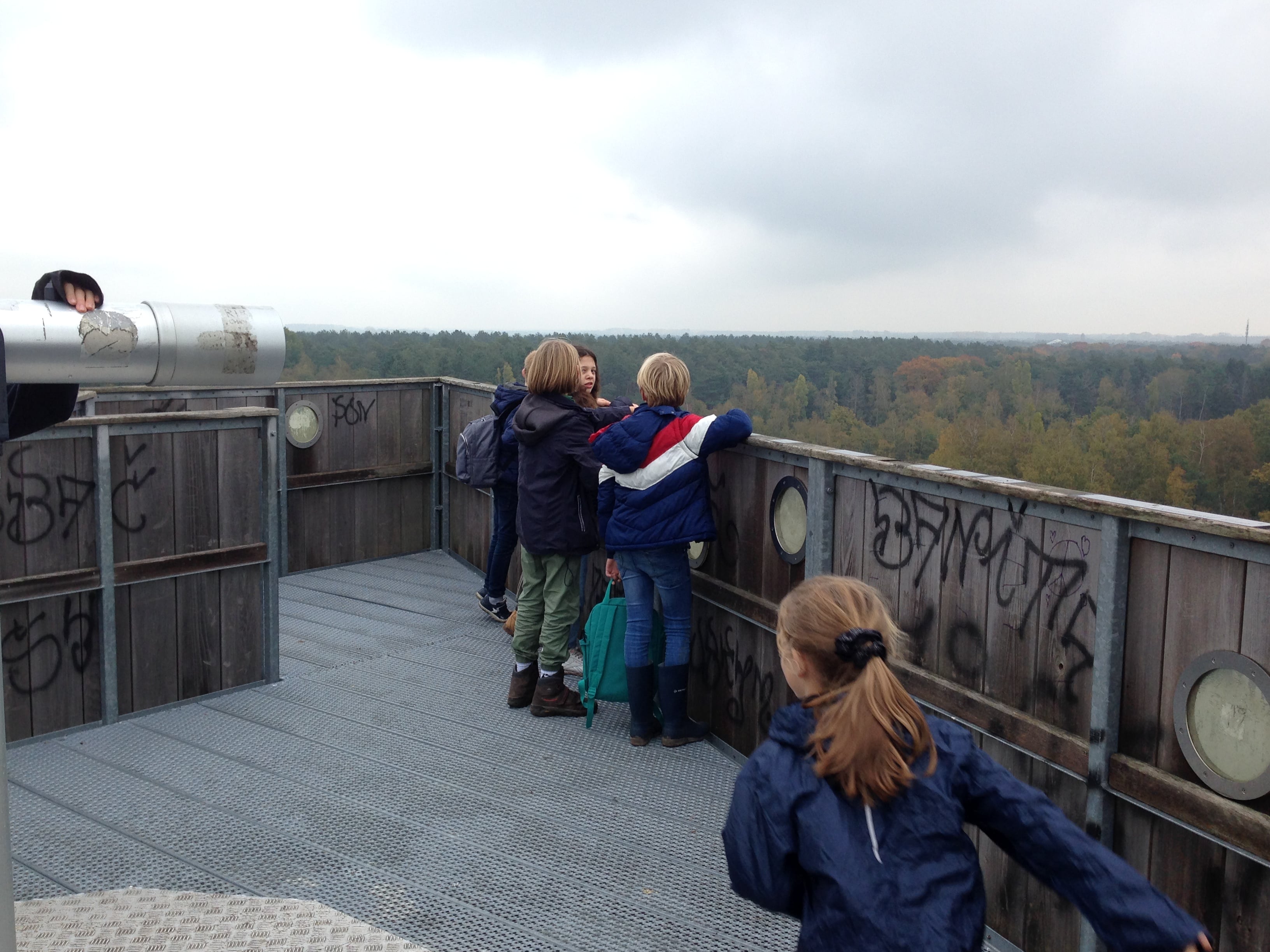 Herfstwandeling