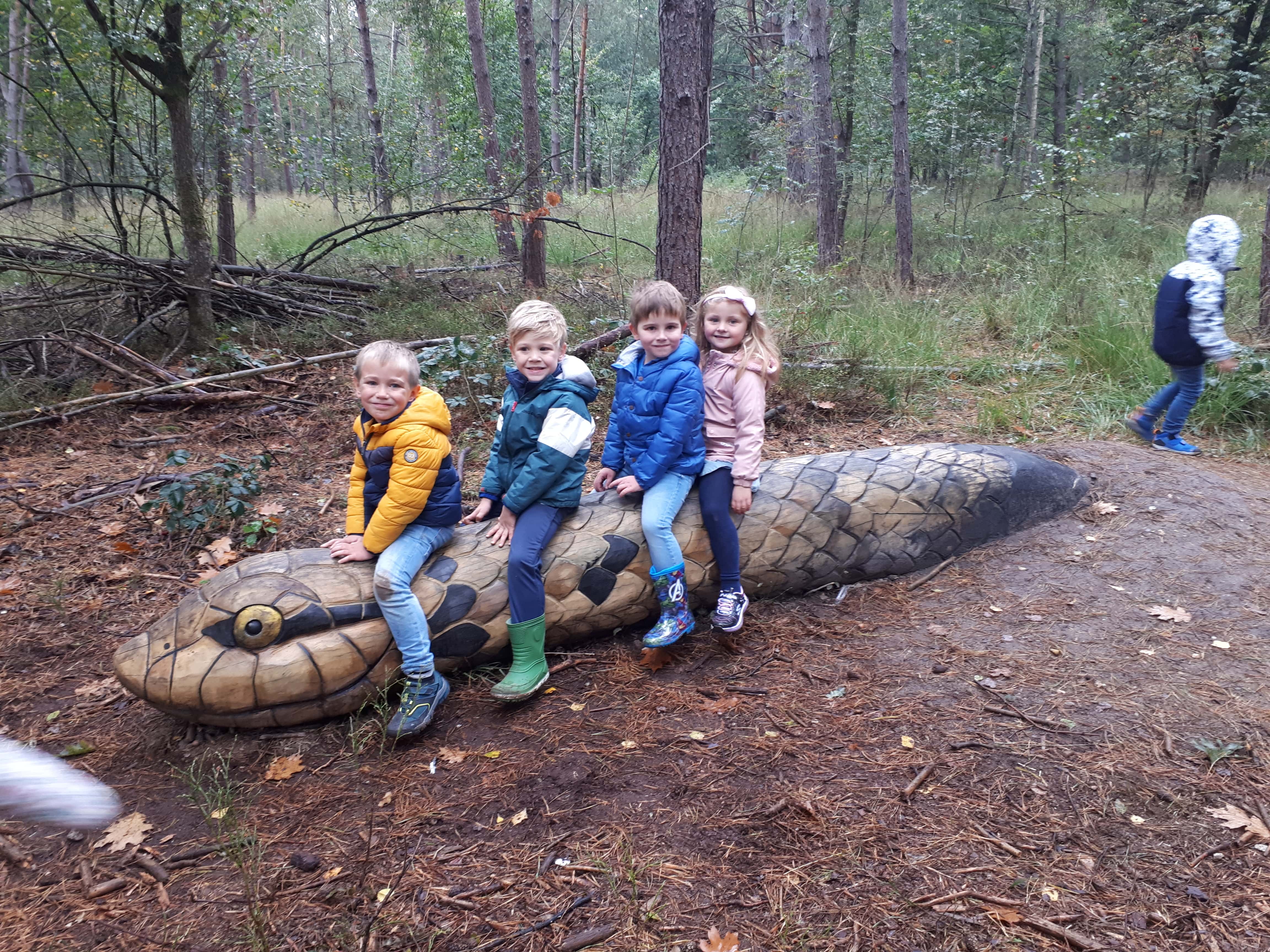 Herfstwandeling