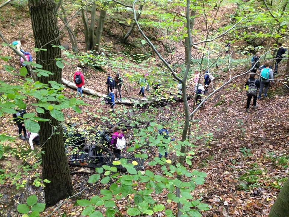 Herfstwandeling