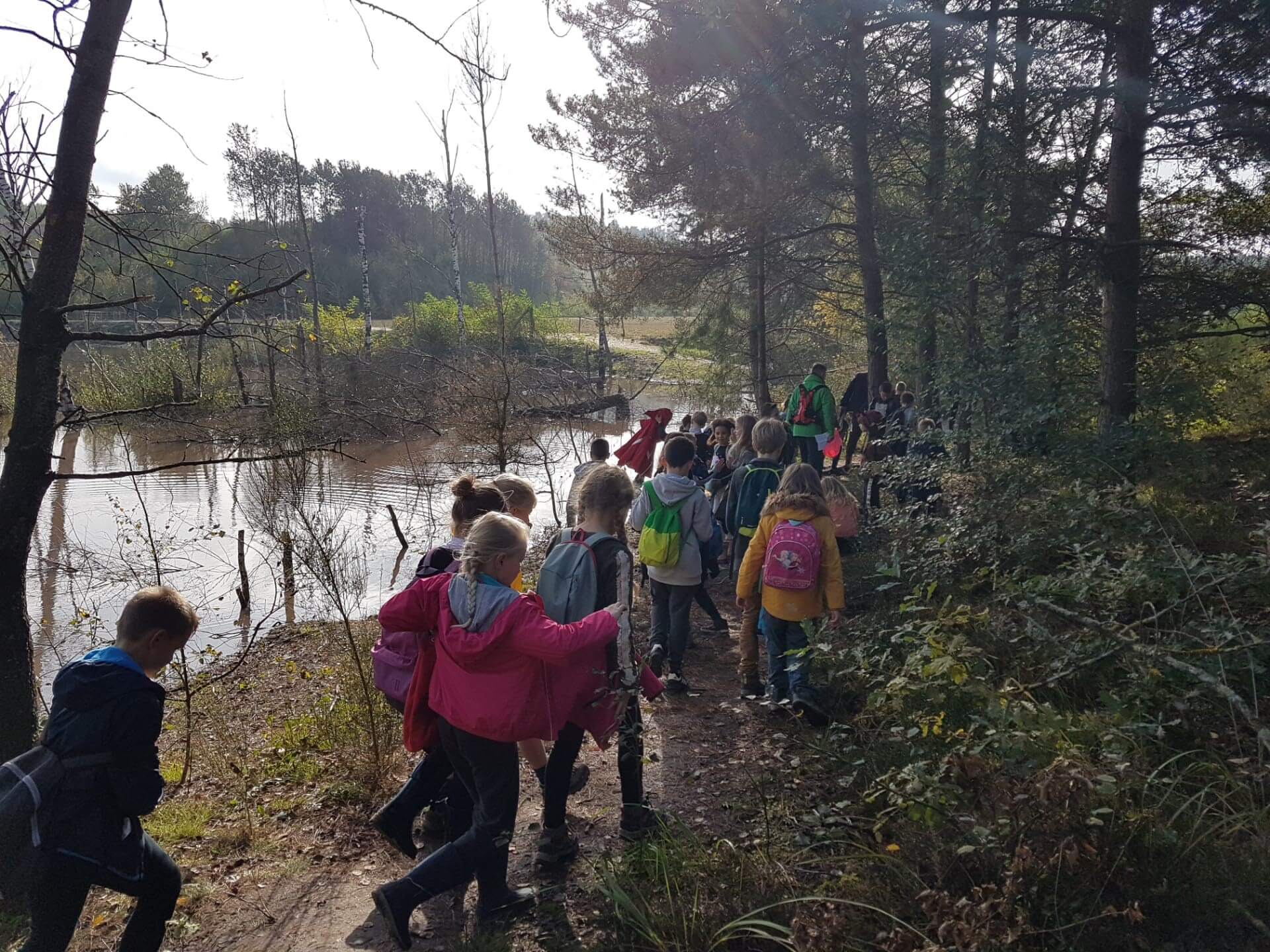 Herfstwandeling